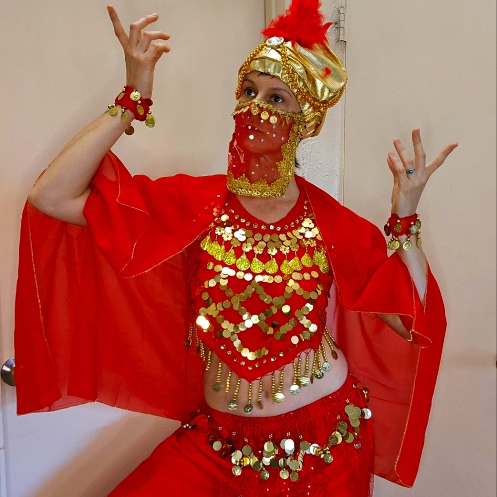 Belly dance Gypsy Fortune Teller Arabian Costume